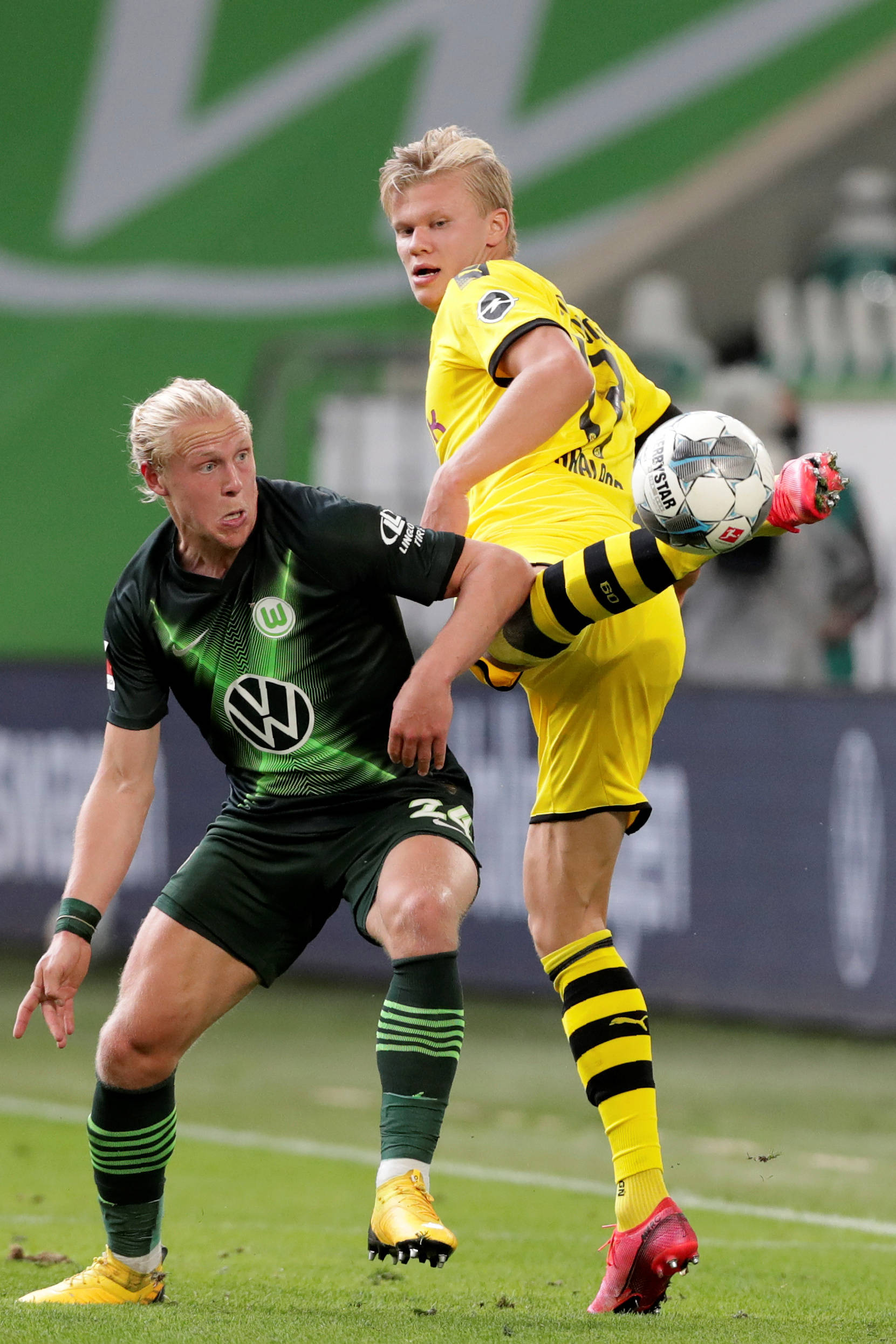 召力也是他 召力也是他